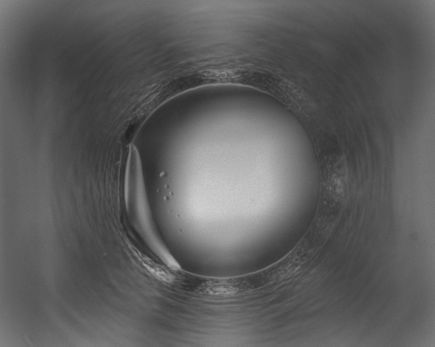X0000054440658200507291319