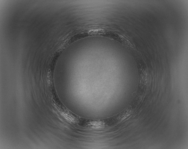 X0000054440659200507291319