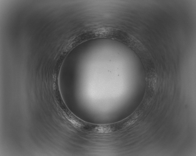 X0000054440660200507291319