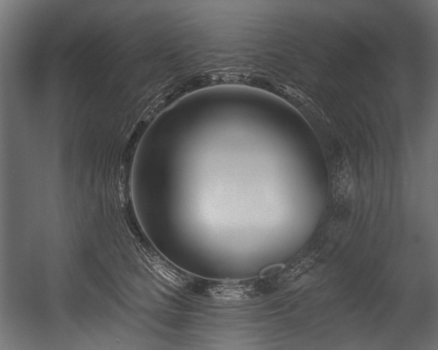 X0000054440661200507291319