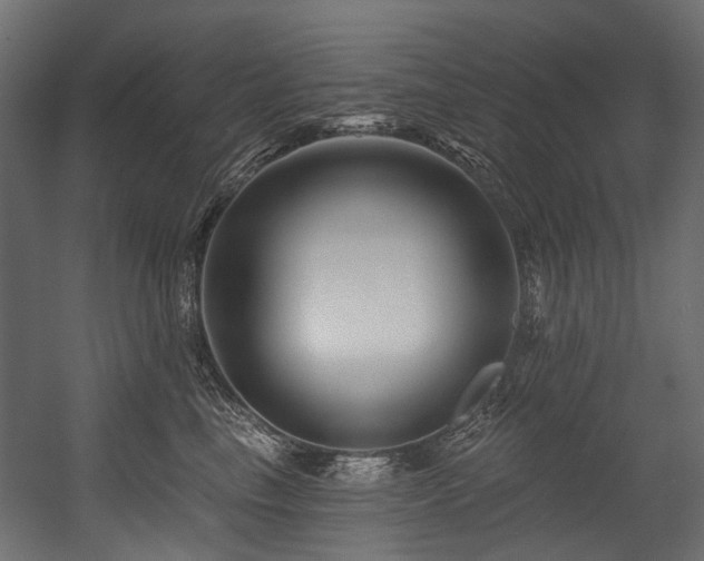 X0000054440665200507291319