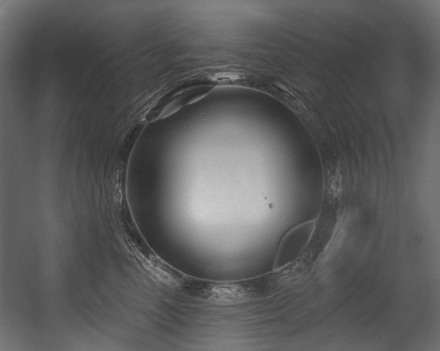 X0000054440666200507291319