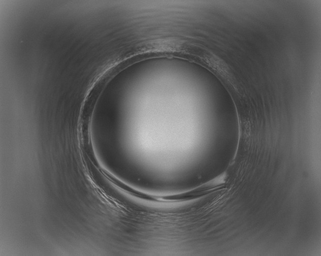 X0000054440676200507291318