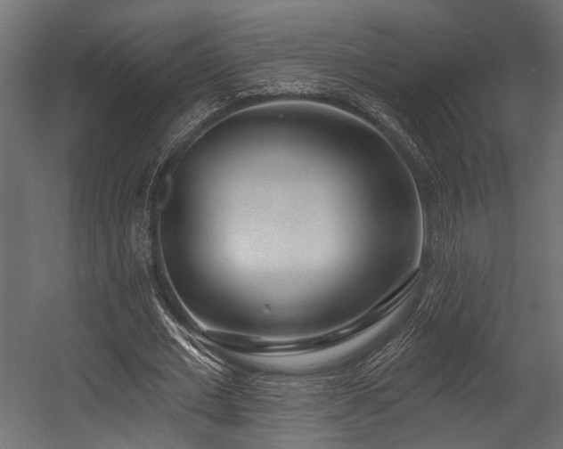 X0000054440677200507291318