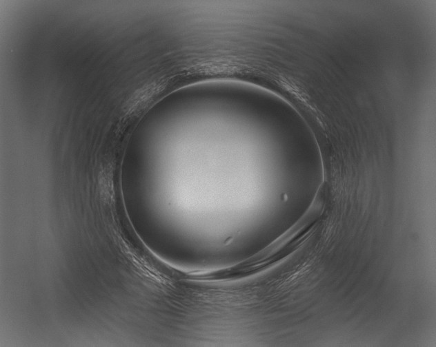X0000054440681200507291318