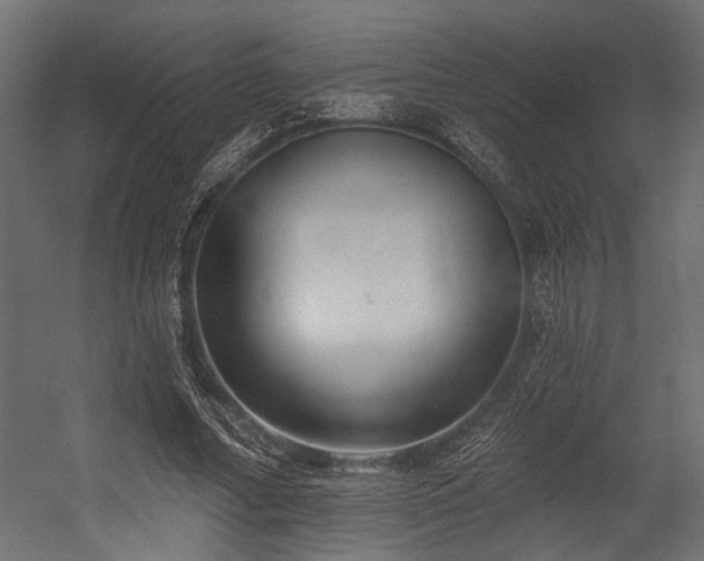 X0000054440682200507291318