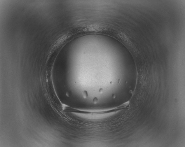 X0000054440683200507291318
