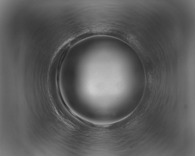 X0000054440684200507291318