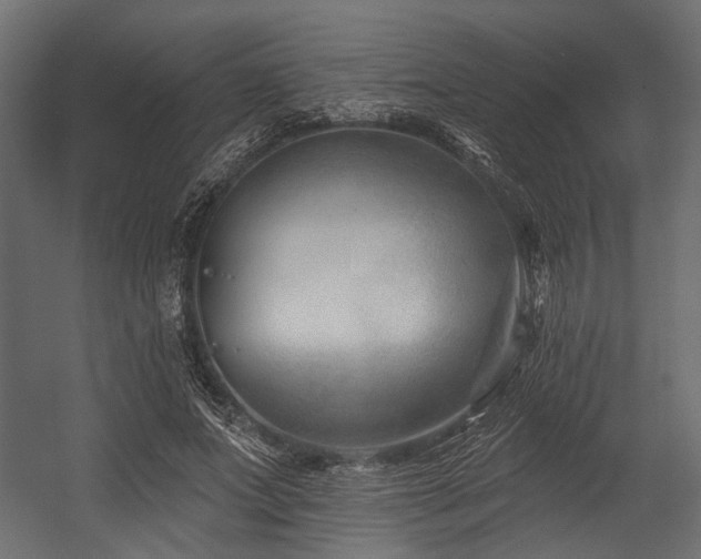 X0000054440687200507291318