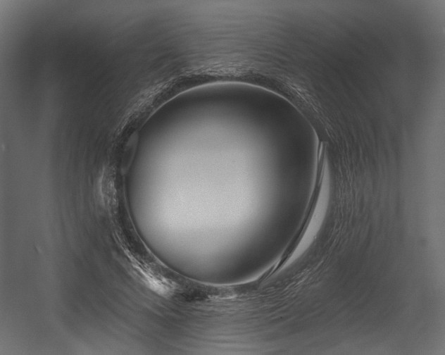 X0000054440688200507291318