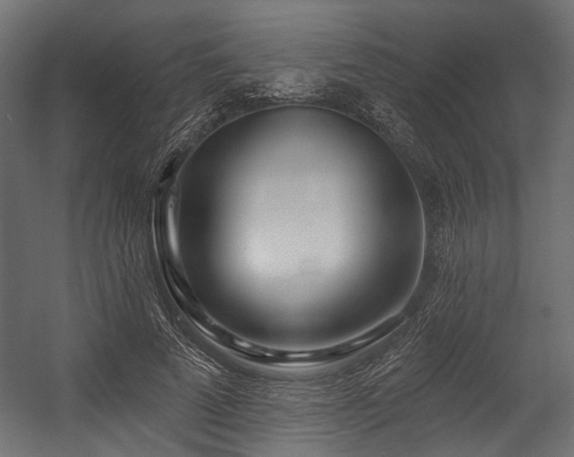 X0000054440689200507291318