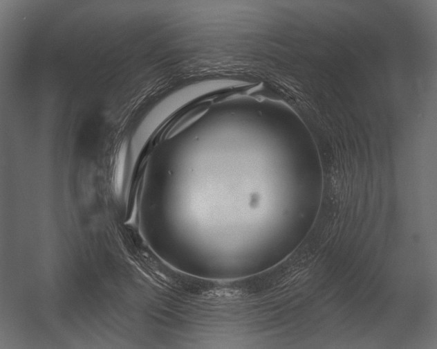 X0000054440691200507291318