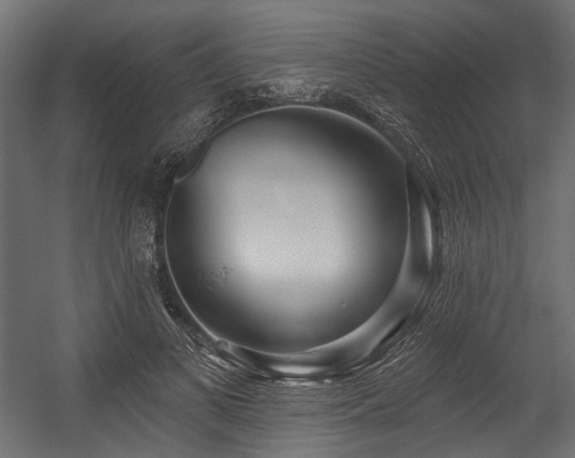 X0000054440693200507291318