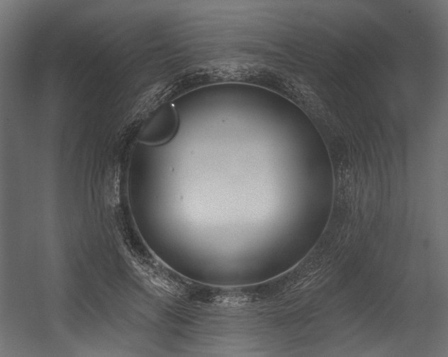 X0000054440694200507291318
