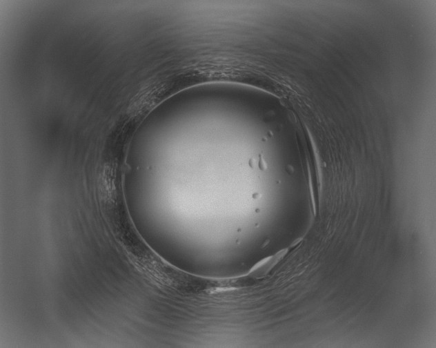 X0000054440695200507291318