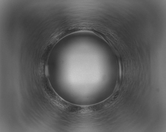 X0000054440696200507291318