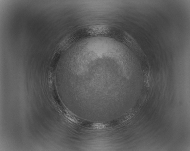 X0000054440701200507291318