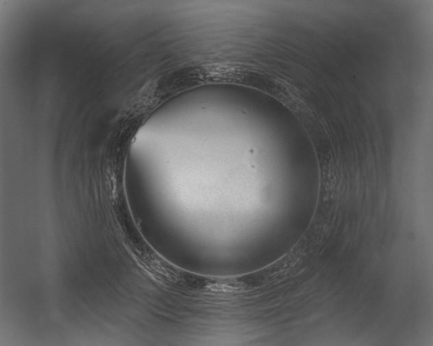 X0000054440703200507291318