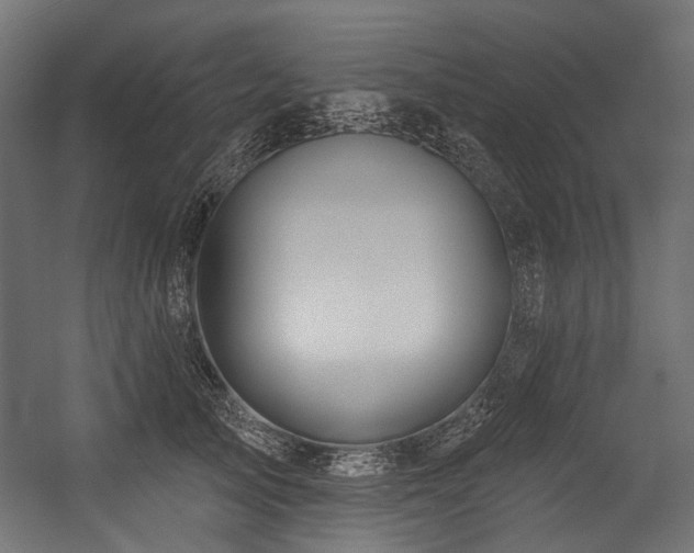 X0000054440705200507291318