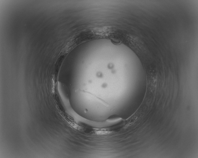 X0000054440707200507291318