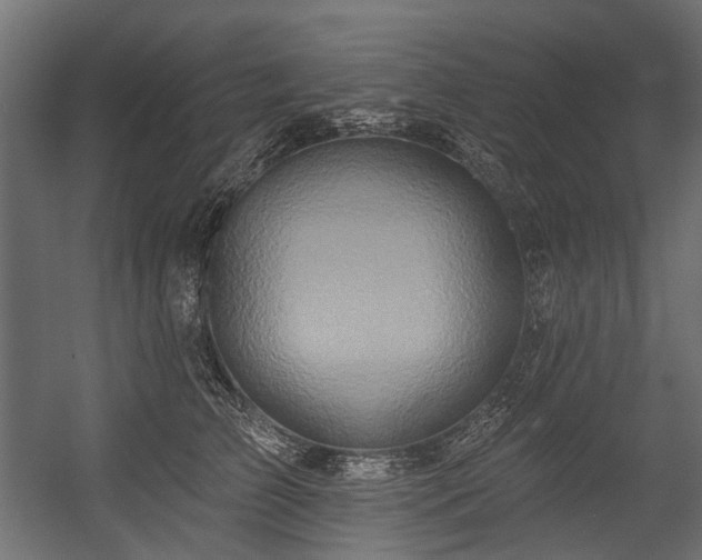 X0000054440709200507291318