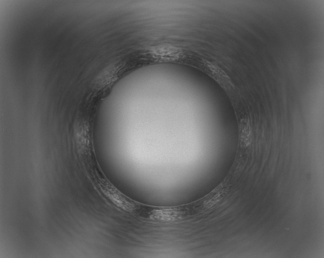 X0000054440713200507291318