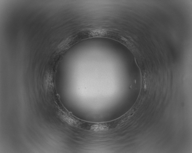 X0000054440714200507291318