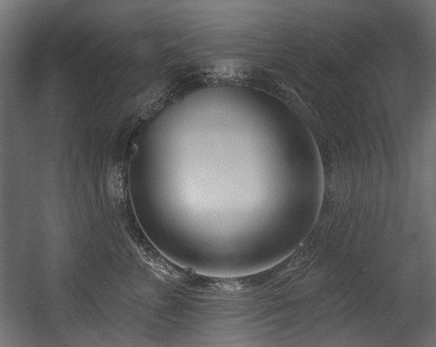 X0000054440715200507291318