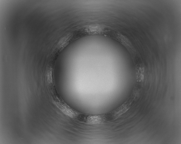 X0000054440717200507291318