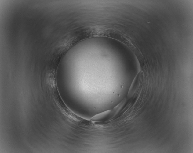 X0000054440719200507291317