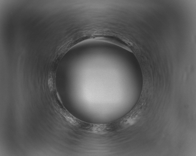 X0000054440720200507291317