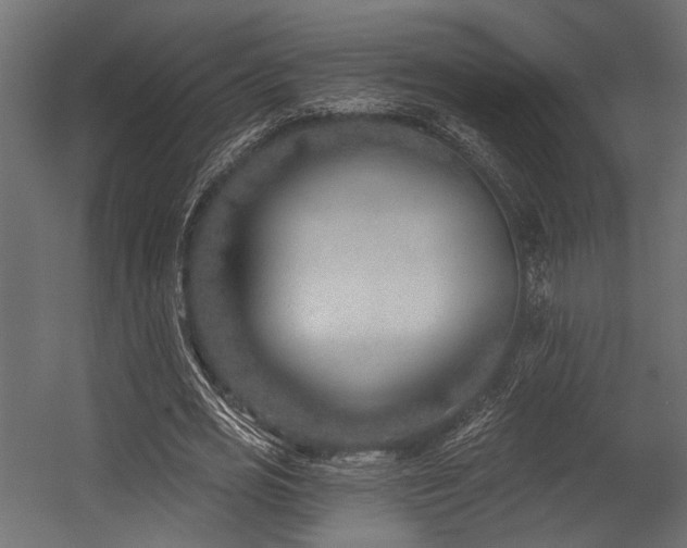 X0000054440725200507291317