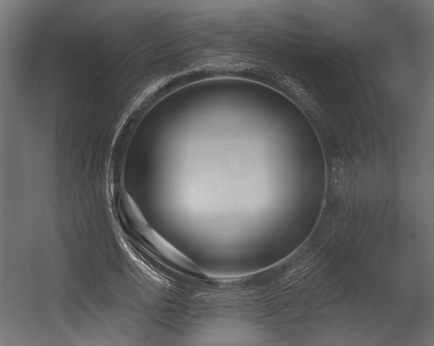 X0000054440726200507291317