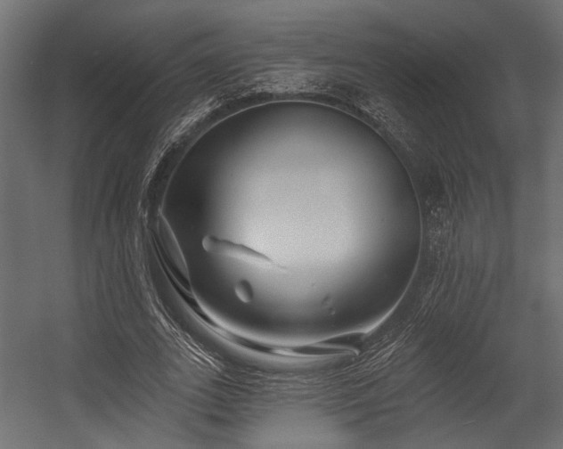 X0000054440727200507291317