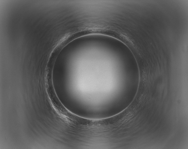 X0000054440730200507291317