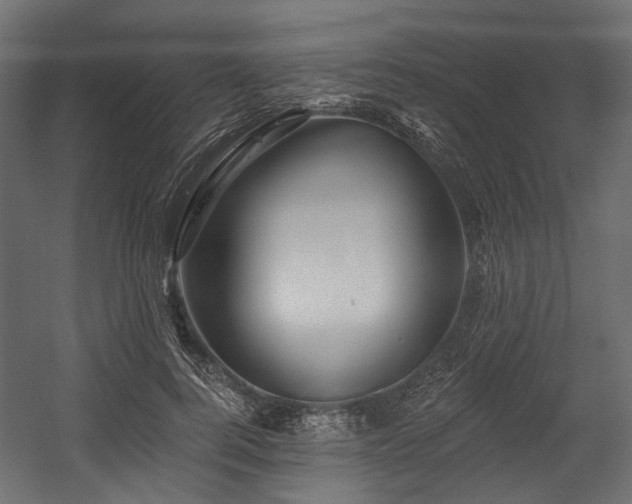 X0000054440744200507291317