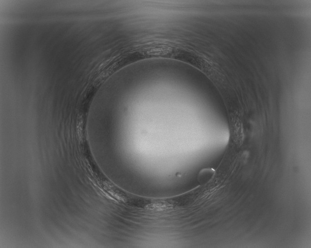 X0000054440745200507291317