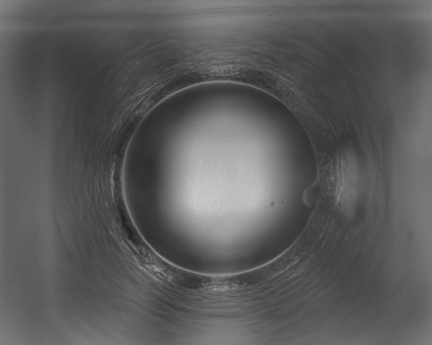 X0000054440746200507291317