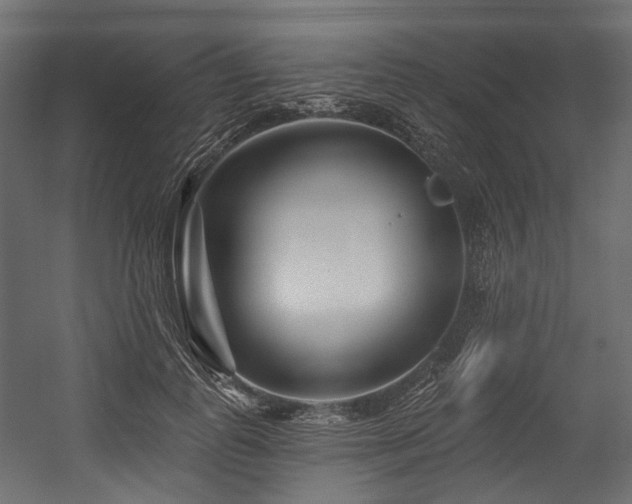 X0000054440747200507291317