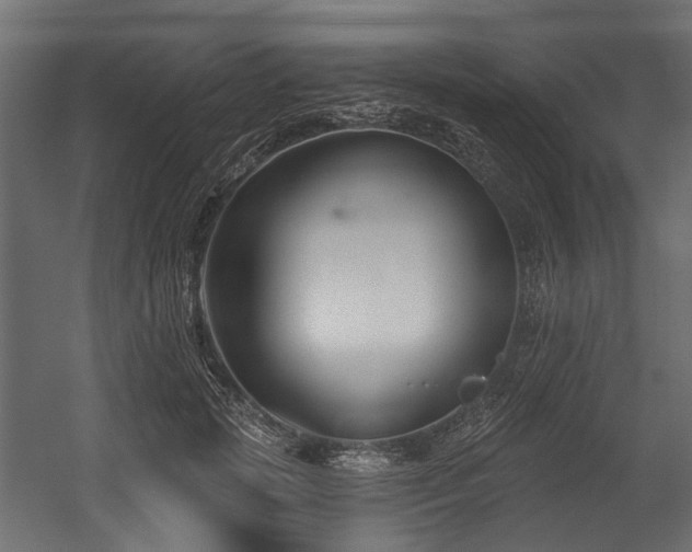 X0000054440749200507291317