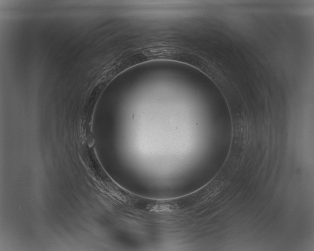 X0000054440751200507291317