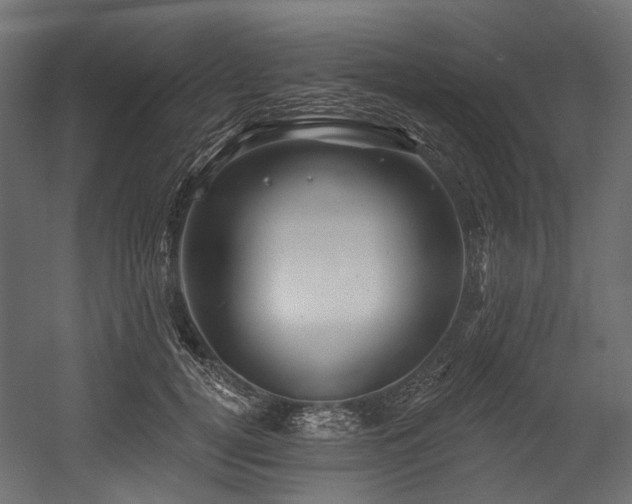 X0000054440752200507291317