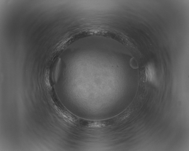 X0000054440754200507291317