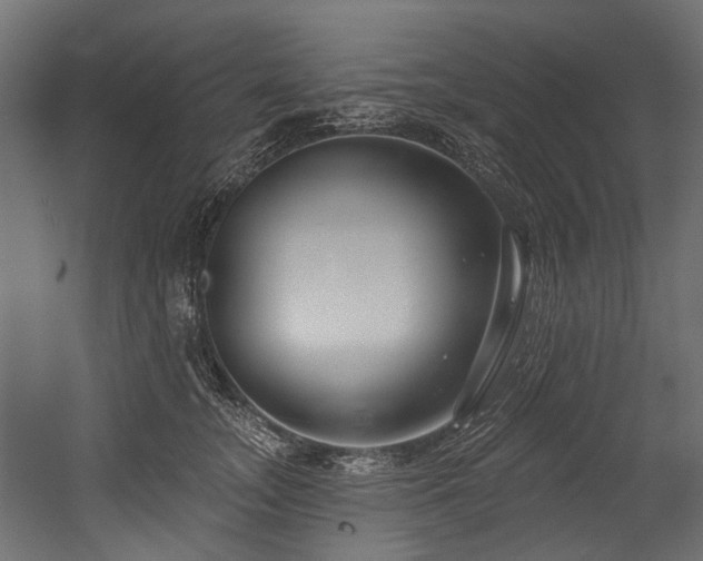 X0000054440755200507291317