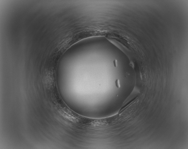 X0000054440756200507291317