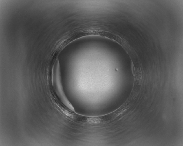 X0000054440762200507291317