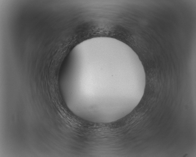 X0000054440769200507291317