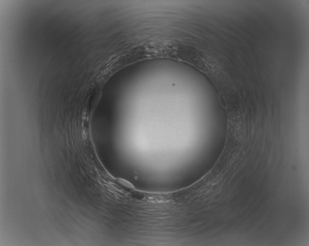 X0000054440770200507291317