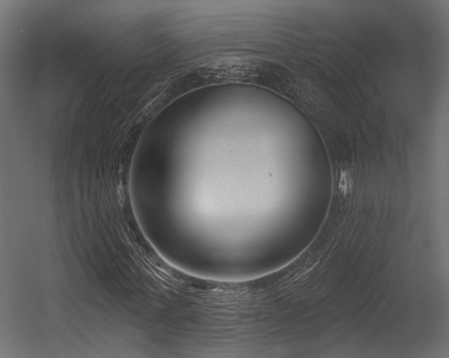 X0000054440771200507291317