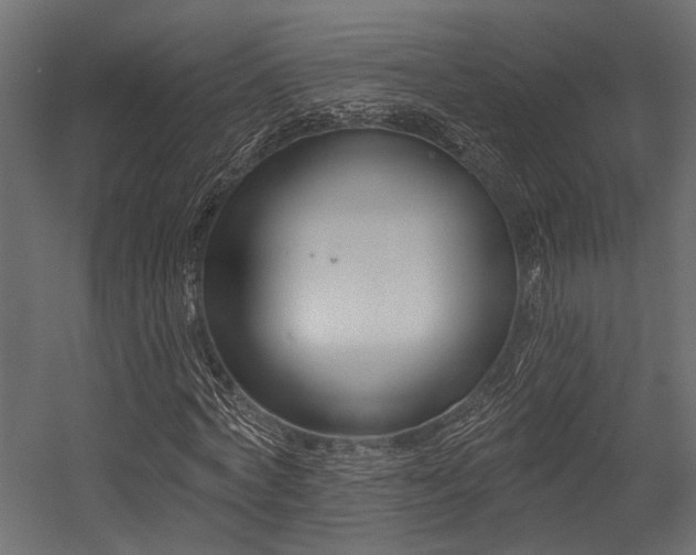 X0000054440772200507291317